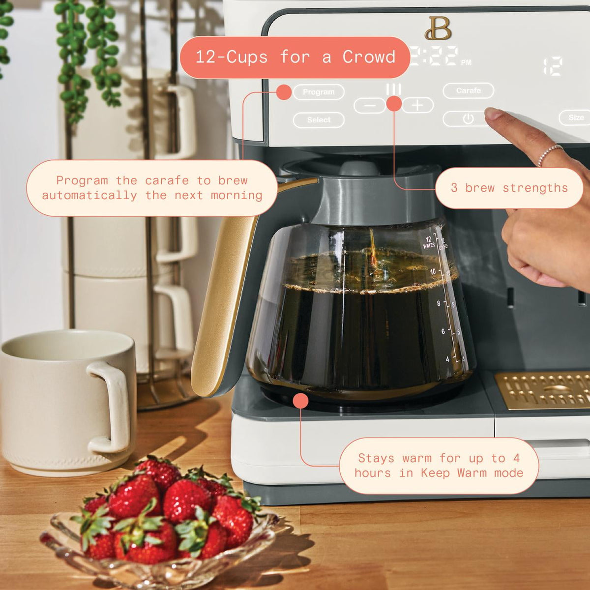 Garly Kitchen Multi-Brew 12-Cup Programmable Drip & Single-Serve Coffee Maker