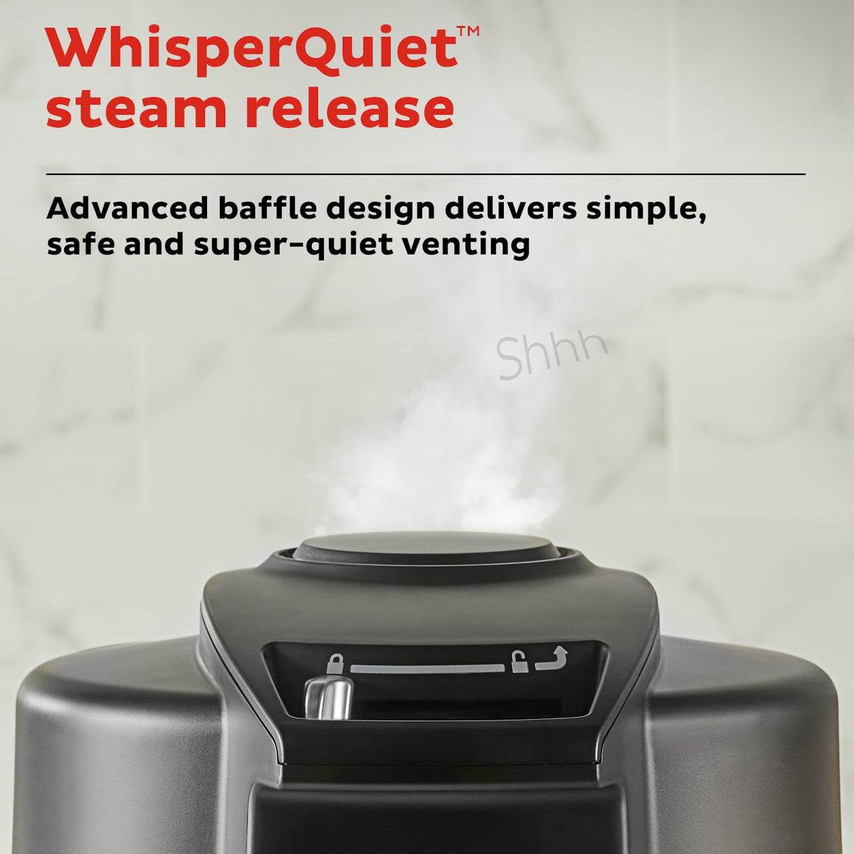 Garly Kitchen 6.5-Qt Duo Crisp Ultimate Lid with WIFI, 13-in-1 Air Fryer and Pressure Cooker Combo