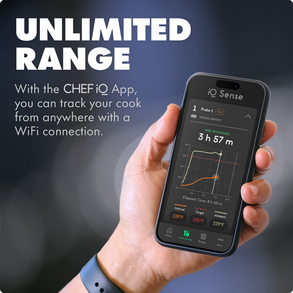 Garly Kitchen by Smart Wireless Meat Thermometer, WiFi Unlimited Range, 5 Sensors