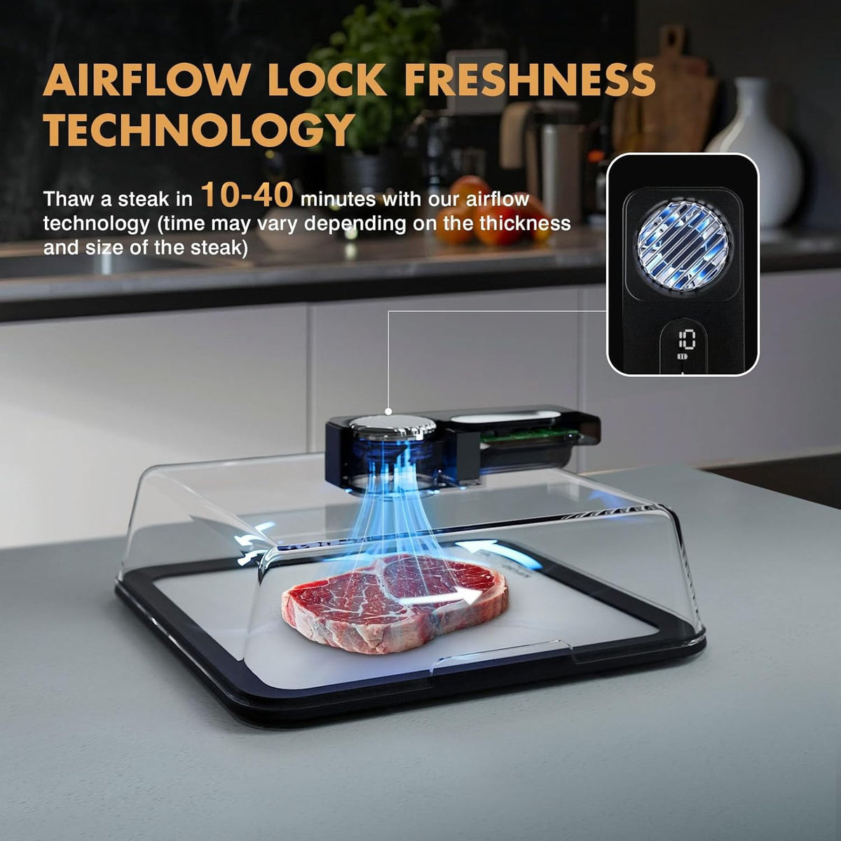 Garly Kitchen Rapid Meat Defroster Tray with Airflow Technology, Smart Thaw Frozen Meat in Minutes